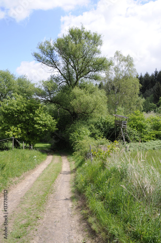 wiesenlandschaft