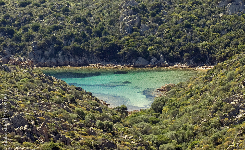 Un cuore verde. Mare di Sardegna
