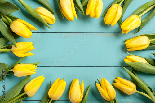 Yellow tulips on blue wooden background