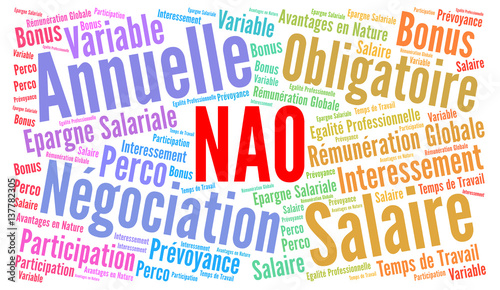 NAO, négociation annuelle obligatoire nuage de mots photo