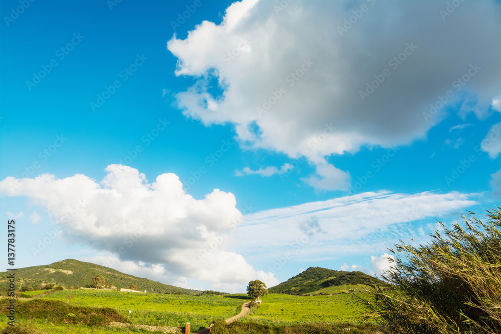 Fototapeta premium Cumulus clouds over Sardinia
