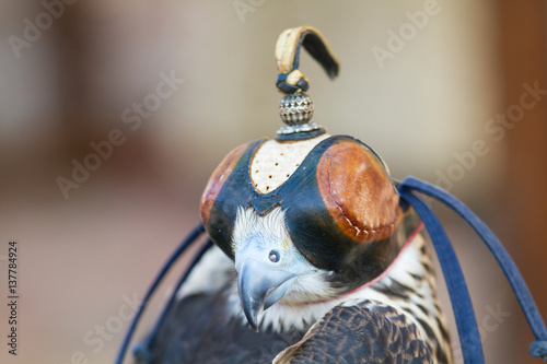 ancient crafts historic medieval festival photo