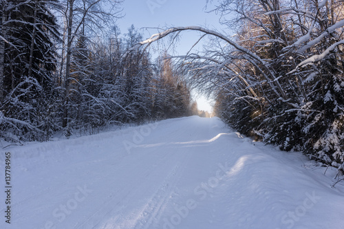 winter road photo