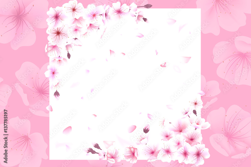 Blooming cherry. Spring background. Falling sakura pink petals. EPS 10