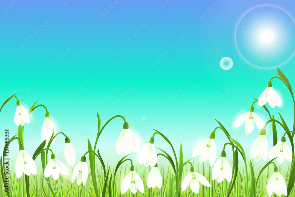 Spring background with snowdrop flowers, green grass, swallows and blue sky.