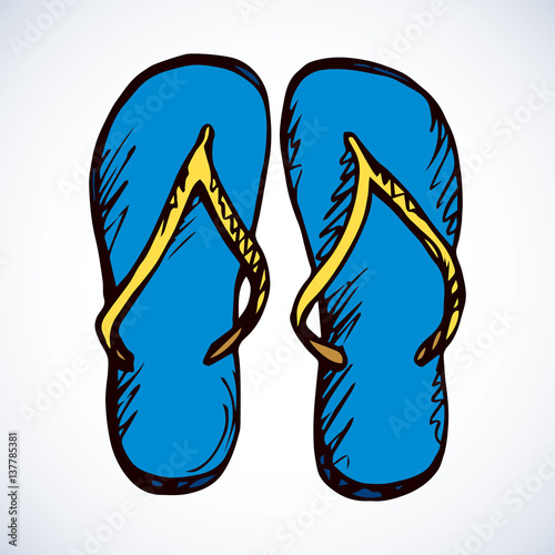 Slippers. Vector drawing
