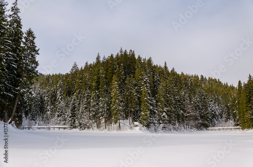 winter mountain landscape. snow field with trees covered with snow in the background, wooden bridge between the mountain slopes.