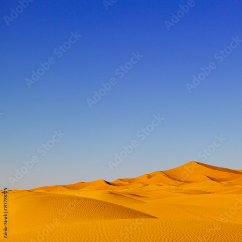 Sand Dunes Morocco desert