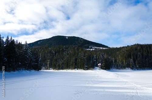 winter mountain landscape. snow field with trees covered with snow in the background, wooden bridge between the mountain slopes.