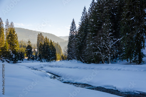 Winter mountain landscape, frozen river covered with snow flowing between the trees.