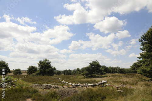 mehlinger heide