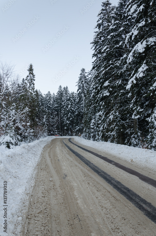 winter mountain landscape. The road that leads to the spruce covered with snow in daylight winter mountain landscape. The road that leads to the spruce covered with snow in daylight