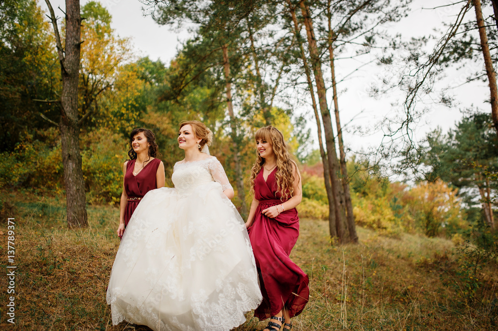 Bride with bridesmaids on red dresses at autumn pine wood. Bride with bridesmaids on red dresses at autumn pine wood.
