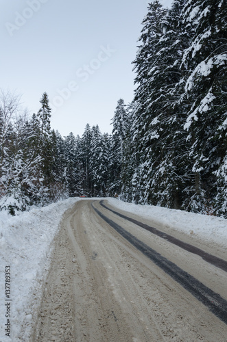 winter mountain landscape. The road that leads to the spruce covered with snow in daylight