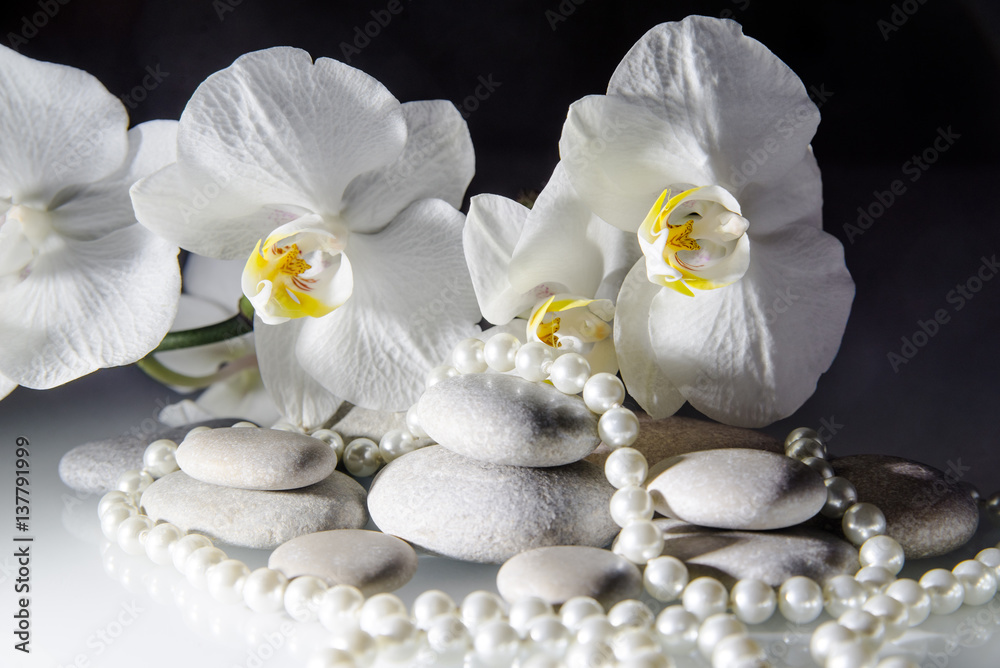 white orchids and pearls lie on the rocks white orchids and pearls lie on the rocks