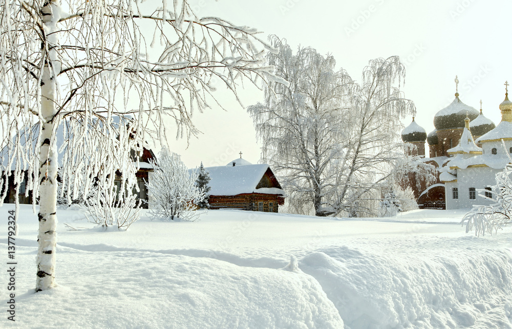 Trunk of bare hoary birch in deep snow on the background of orthodox monastery and houses at winter