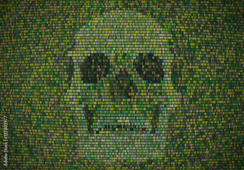 スカル　プログラム