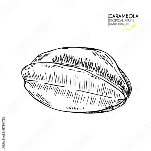 Vector hand drawn set of exotic fruits. Isolated carambola. Engraved art. Delicious tropical vegetarian objects. smoothie bowls.