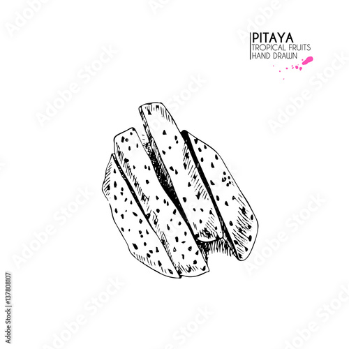 Vector hand drawn set of exotic fruits. Isolated pitaya. Engraved art dragon fruit. Delicious tropical vegetarian objects., smoothie bowls.