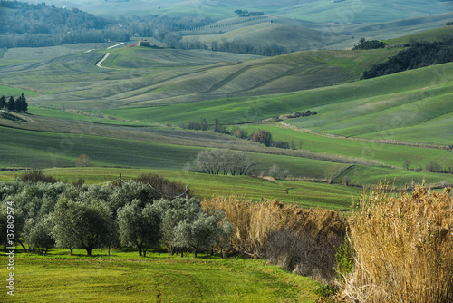 Unknown field Tuscan countryside in Italy.