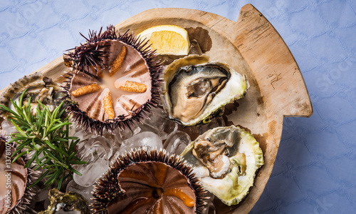 Close up appetizer with seashell and sea urchin on ice photo