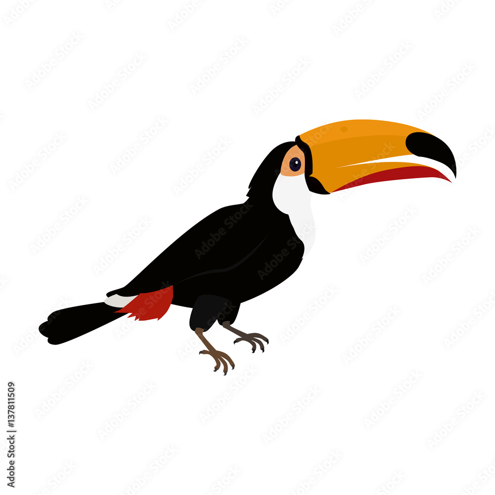 Obraz premium Toucan Bird Flat Design Vector Illustration