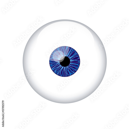 human eyeball