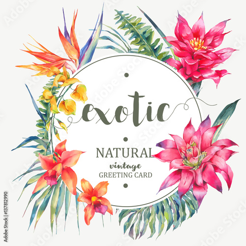 Vector vintage floral tropical round frame