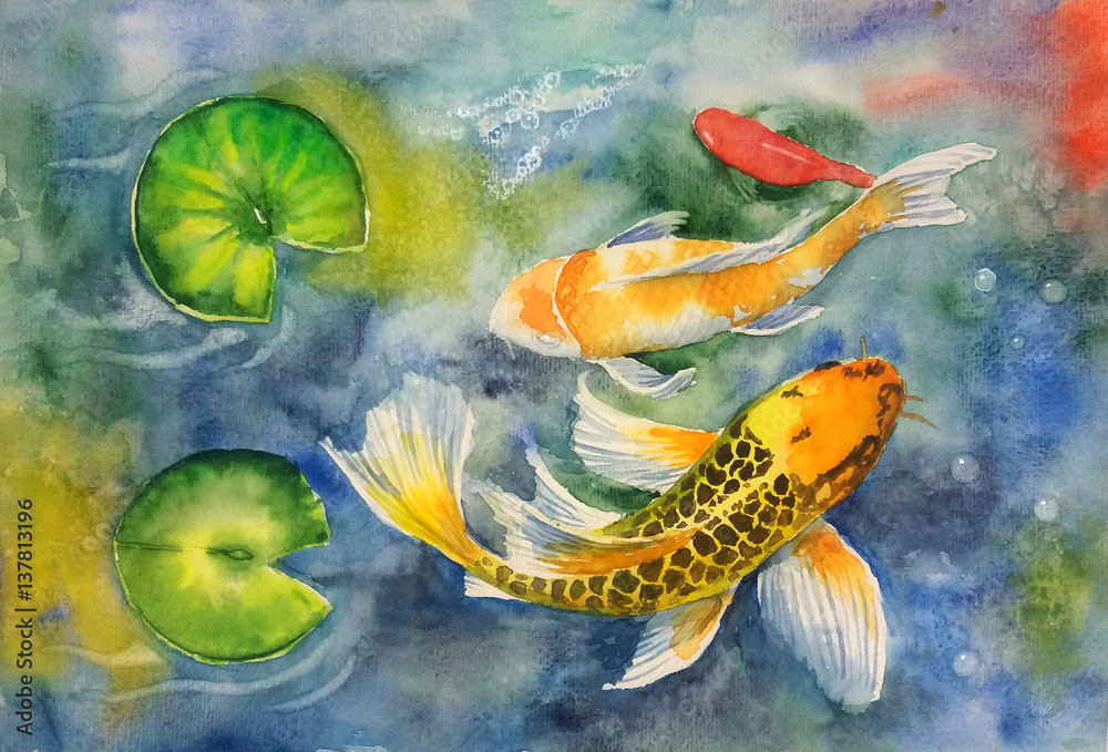Naklejka premium Koi Fish