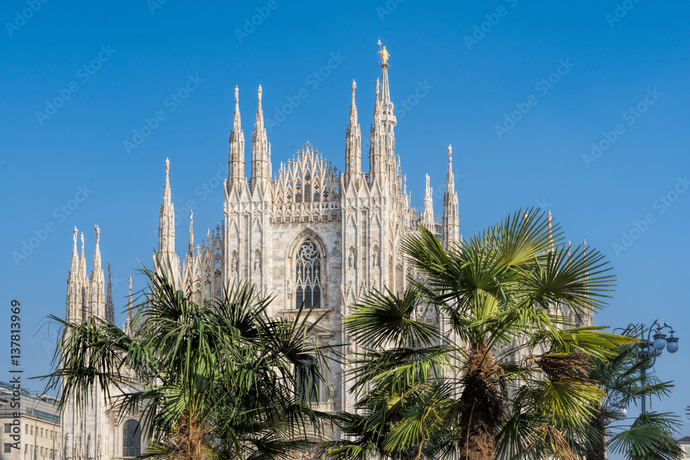 Duomo and palms