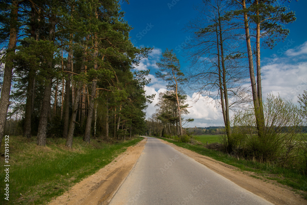 Naklejka premium Droga przez podlasie