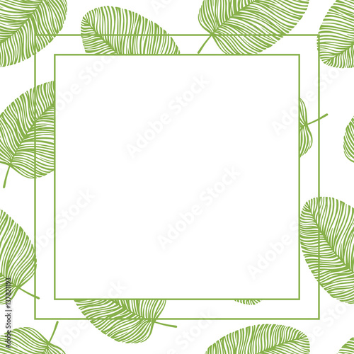 Vector frame with leaves. Invitation with floral background.