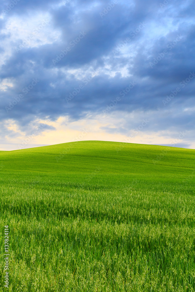 Tuscany landscape, beautiful green hills springtime