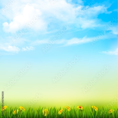 Spring Nature Background With A Green Grass And Blue Sky With Clouds. Vector.