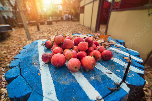 apples Ranetki photo