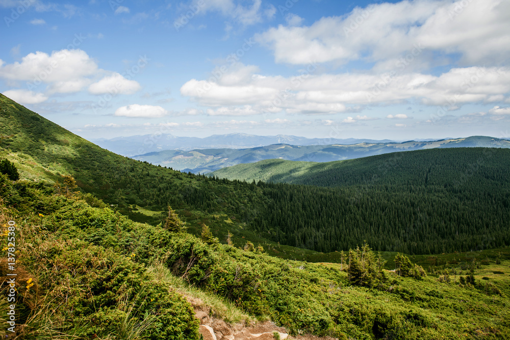 Naklejka premium Landscape in the mountains