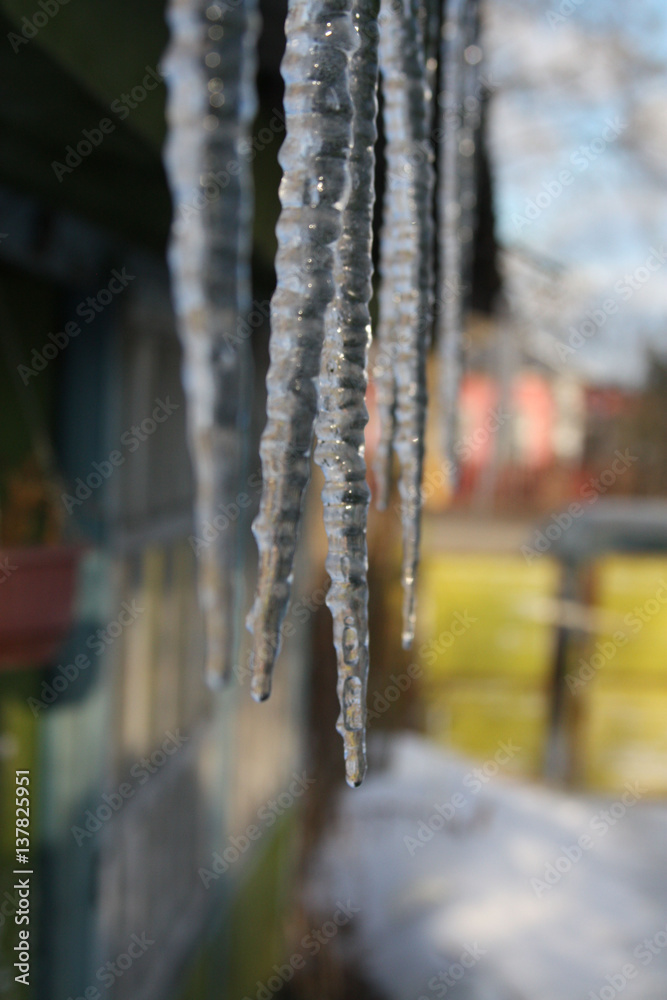 long shiny icicles hanging from the roof line and melt long shiny icicles hanging from the roof line and melt