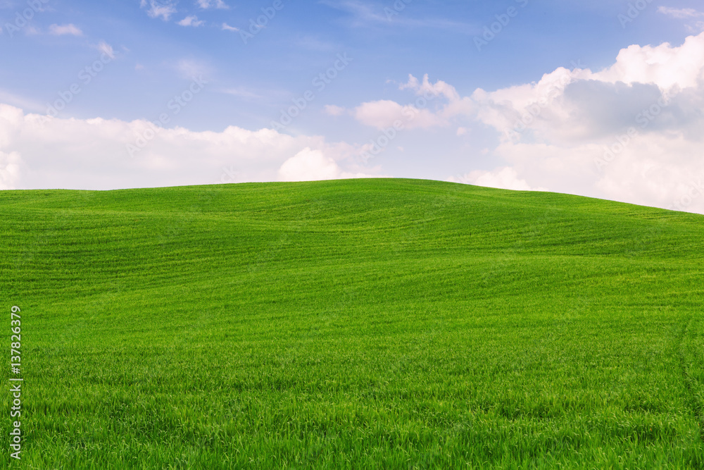 Tuscany landscape, beautiful green hills springtime