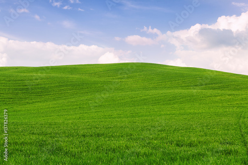 Tuscany landscape, beautiful green hills springtime © rolandbarat