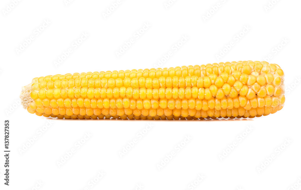 Dry corn cob Dry corn cob