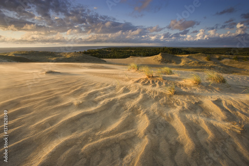 Sand dunes on Agilos Kopa, Nagliai Nature Reserve, Curonian Spit, Lithuania, June 2009