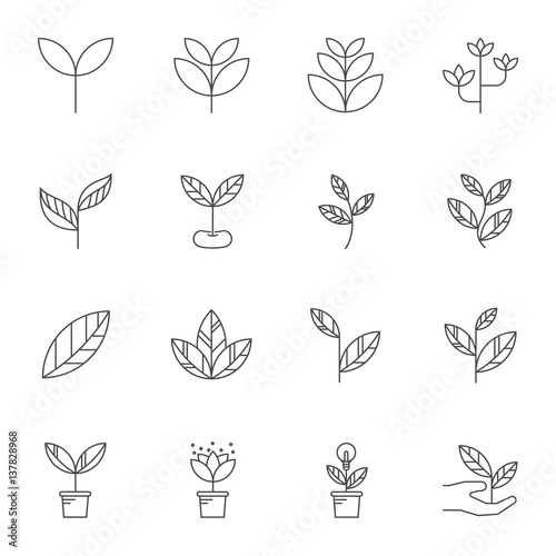 Leaf  line icons, Vector illustration.