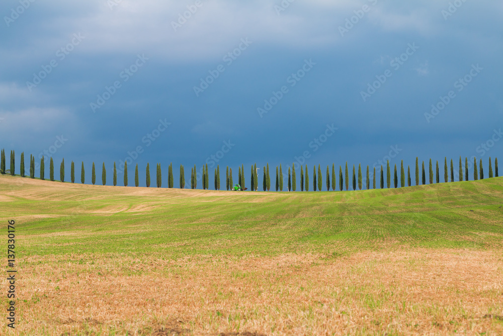 Tuscany landscape, beautiful green hills springtime