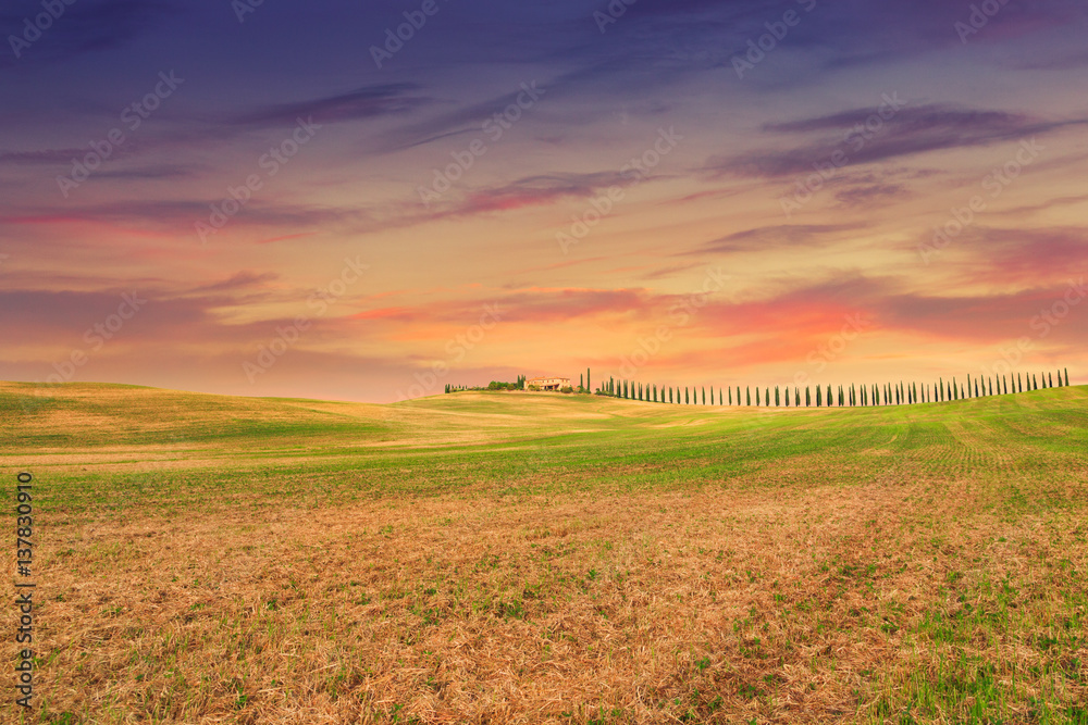 Fototapeta premium Tuscany landscape, beautiful green hills springtime