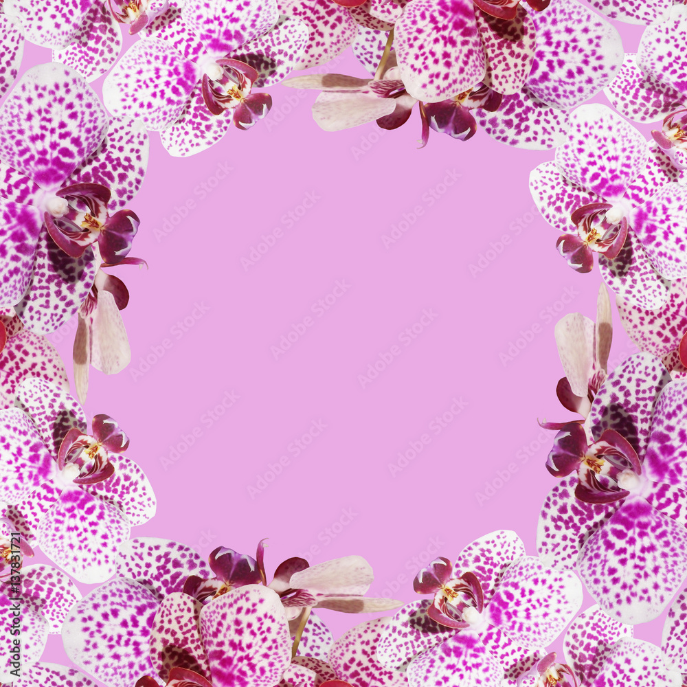 Beautiful floral background of purple orchids 