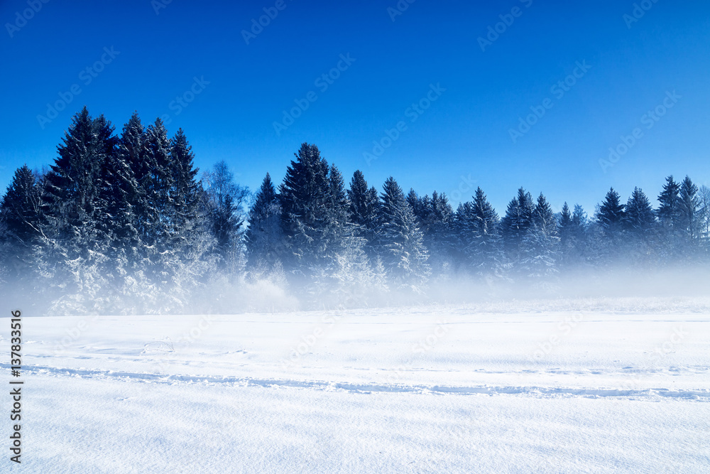 © rolipix - Winterwonderland