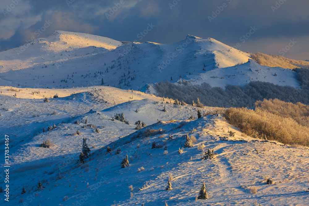 Fototapeta premium Beautiful winter landscape in the mountains, Bieszczady, Poland