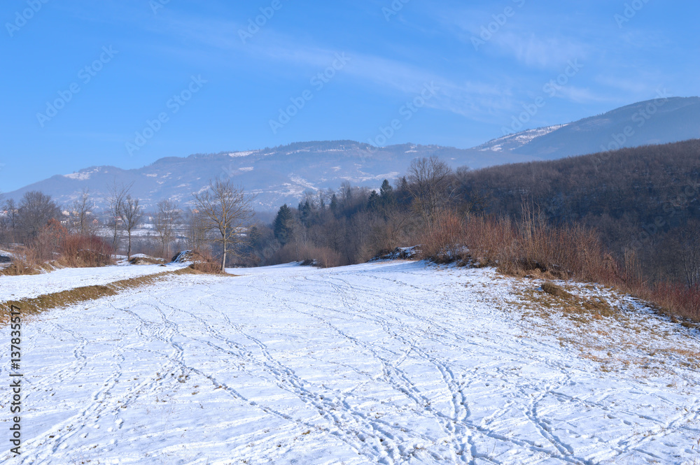 Winter landscape with snow and ice detail