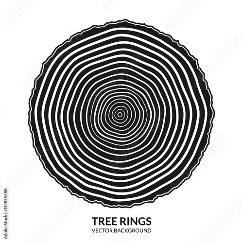 Tree rings and saw cut tree trunk symbol or logo isolated on white background. Vector illustration