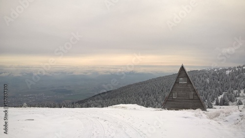 Hut hidden in the woods in snow during winter. Slovakia © Valeria